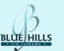 Blue Hills Tin Stream 