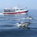 Mevagissey to Fowey Ferry