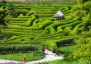 Glendurgan Maze